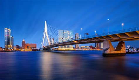 Rotterdam holiday rentals, South Holland: holiday houses & more | Vrbo