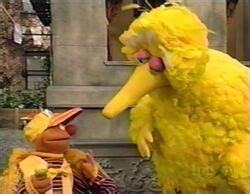 Episode 3873 | Muppet Wiki | FANDOM powered by Wikia