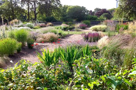 Ruskin Park Walk | South London Botanical Institute