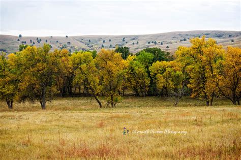 Custer State Park, South Dakota on Behance