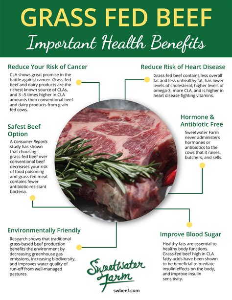 Does Grass Fed Beef Have Less Cholesterol - Beef Poster