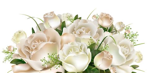 White Roses Decoration PNG Clipart Picture | Artistically and Creatively | Pinterest | White roses