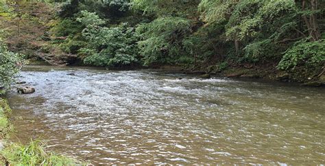 Fishing Jacobs Creek in Pennsylvania – 365 Angler