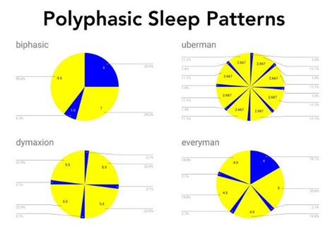 What is Polyphasic Sleep, and is Eight Hours of Shuteye Really ...