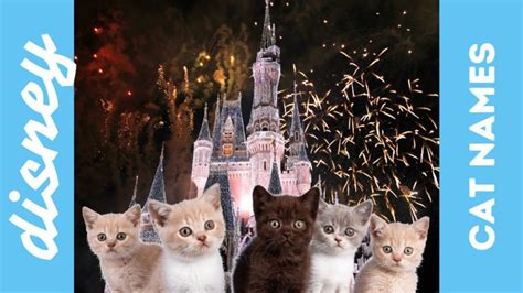 250+ Disney Cat Names & Their Meanings