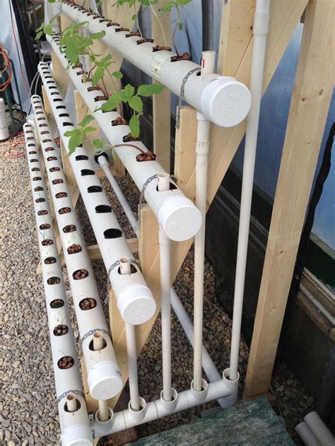 Sensational mini aquaponic check this link right here now | Aquaponics ...