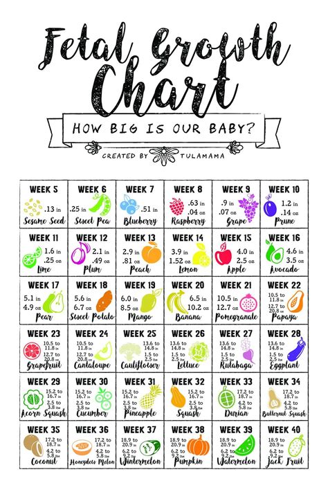 How Big Is My Baby - FREE Printable- this is a fetal growth chart that ...