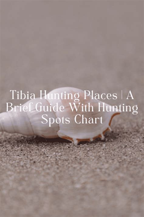 Tibia Hunting Places | A Brief Guide With Hunting Spots Chart