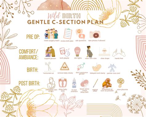 Gentle C-section Birth Plan L Visual Birth Plan L Birth Plan - Etsy ...