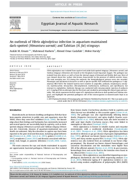 (PDF) An outbreak of Vibrio alginolyticus infection in aquarium-maintained dark-spotted ...