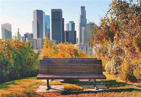 5 Los Angeles Parks That Offer Incredible Views