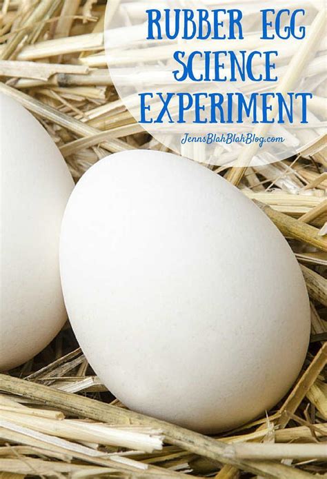 Rubber Egg Science Experiment