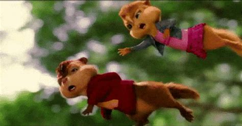 Alvin GIF - Find & Share on GIPHY