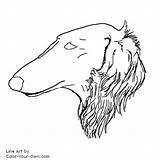 Borzoi Headstudy Coloring Page sketch template