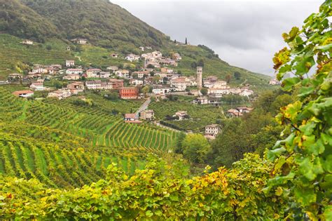 Your 2024 guide to Veneto wine region | Winetourism.com