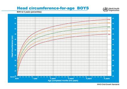 Head Circumference Percentile Calculator