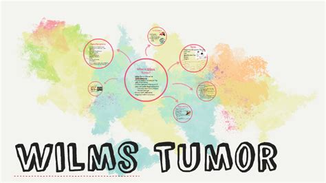 Wilms Tumor by Kirsten Robinson on Prezi