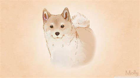 Shiba Wallpaper