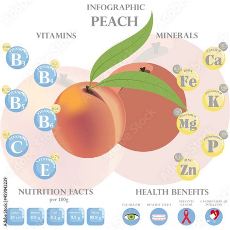 Peach nutrition facts and health benefits infographic Stock Vector | Adobe Stock