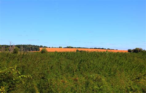 Fields on a hill on the Glacial Drumlin State Trail, Wisconsin image - Free stock photo - Public ...