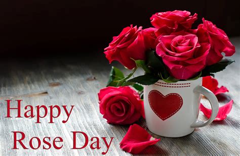 Happy Rose Day Wishes Image Picture Desktop Hd Wallpaper