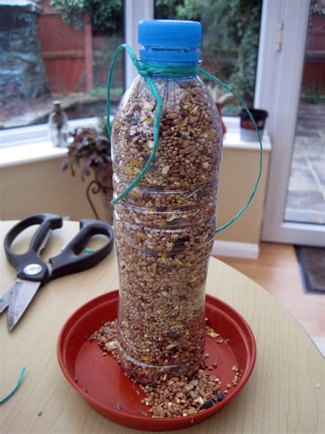 Make your own bird feeder! | Roots Magazine