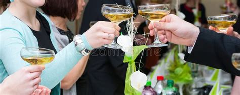 Party Toast Royalty Free Stock Photo - Image: 30639005