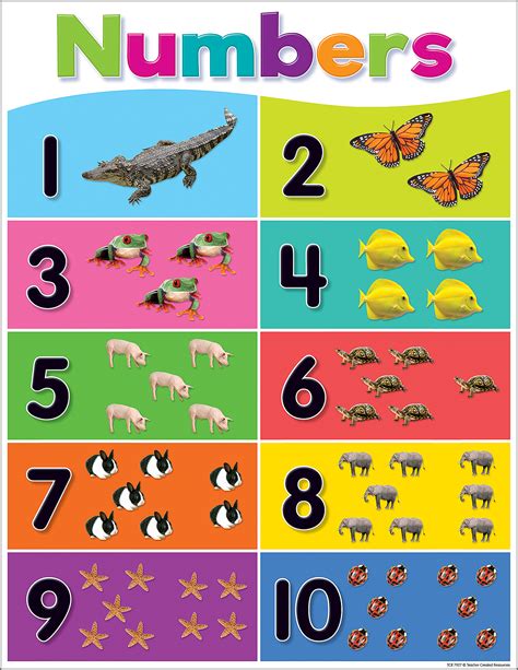 Colorful Numbers 1-10 Chart - TCR7927 | Teacher Created Resources