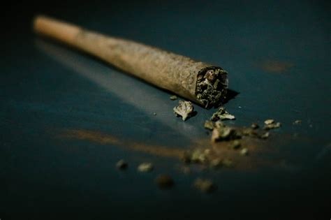 Difference Between Blunt and Joint: Uses and Benefits | Canna Clinic