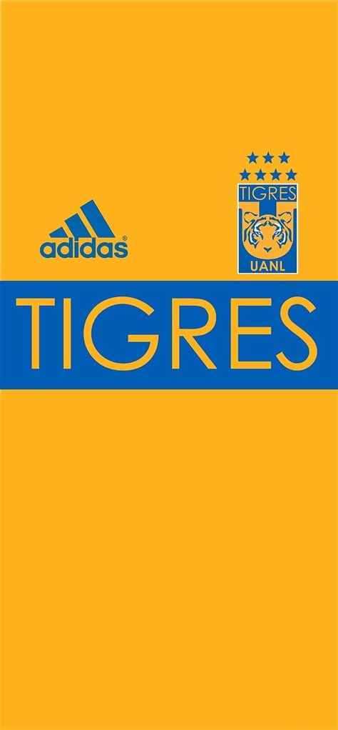 Tigres UANL, libresylokos, incomparables, la u, Auriazules, felinos HD phone wallpaper | Pxfuel