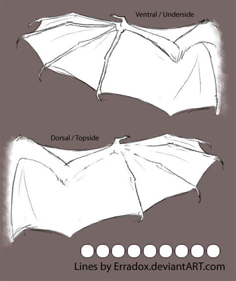 Demon/Dragon/Bat Wing Reference Template | Wings drawing, Human bat oc ...