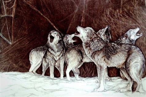 Pack Of Wolves Drawing by Nancy Cooper