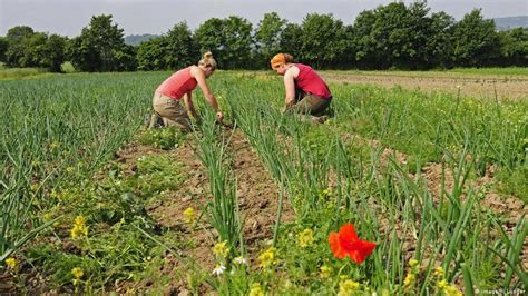 Why Germans are demanding a shift in agriculture | Environment| All ...