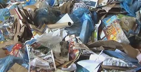 Many Canadians are recycling wrong, and it's costing us millions | Curb ...