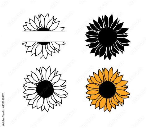 Sunflower Images Black And White