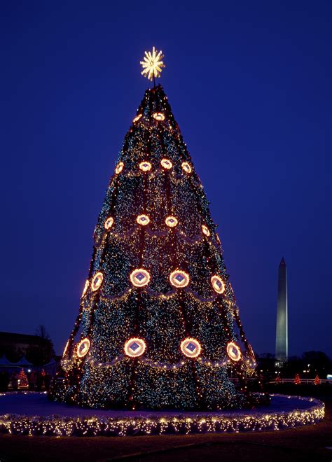 Free Images : night, star, evening, tower, evergreen, holiday, landmark, christmas tree, festive ...