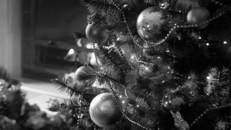 Black and White Image of Decorated Christmas Tree in Living Room Stock ...