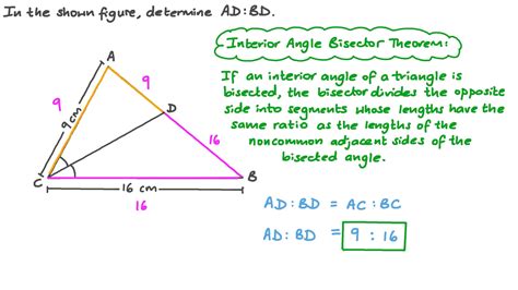 Angle Bisector Theorem Worksheet – Pro Worksheet