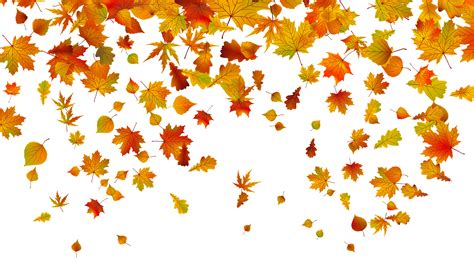 Fall leaves border png, Fall leaves border png Transparent FREE for download on WebStockReview 2024