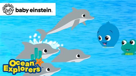 Problem Solving with Dolphins🐬 | Ocean Explorers Compilation | Baby Einstein | Learning Cartoon ...