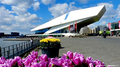 EYE Film Institute Netherlands, Amsterdam Film Museum