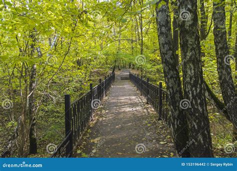 The Bridge Over a Small Ravine. October Stock Photo - Image of pass, nature: 153196442