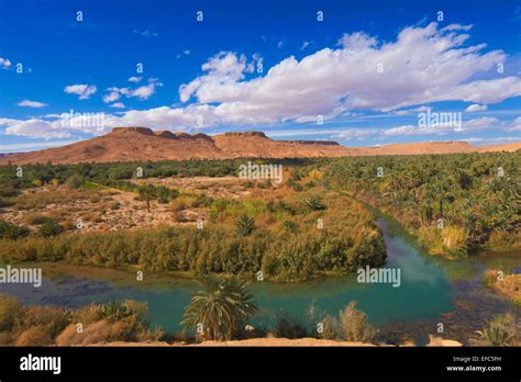 Tafilalt Oasis Stock Photos & Tafilalt Oasis Stock Images - Alamy