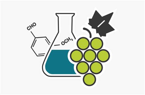 Department Of Microbiology Biochemistry - Biochemistry Clipart , Free Transparent Clipart ...