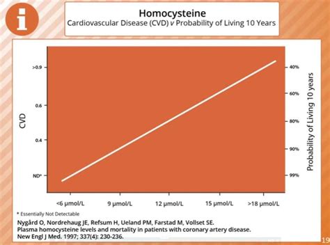 Low Homocysteine? Not Good. - Dr Lynch : Dr Lynch