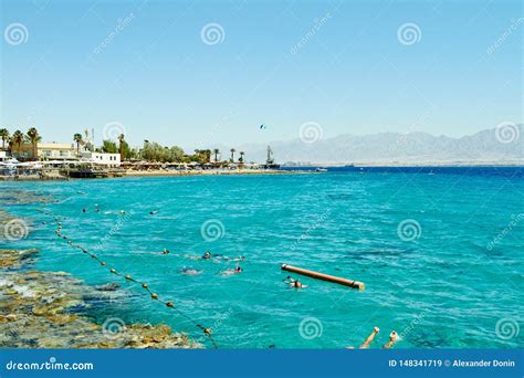 Coral Reef on the Red Sea Eilat Stock Image - Image of landscape, coastline: 148341719