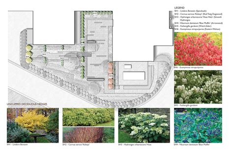 Lewis Ginter Native Plants Garden — Waterstreet Studio