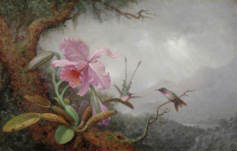 Hummingbirds and Orchids - 1000Museums