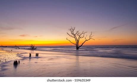 Panorama Sunrise Botany Bay Beach South Stock Photo 559635349 ...