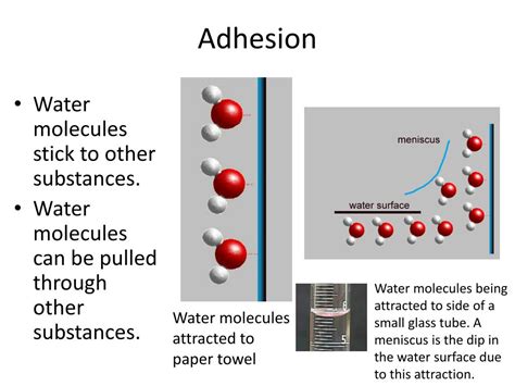 PPT - Understanding Water PowerPoint Presentation, free download - ID:2739092